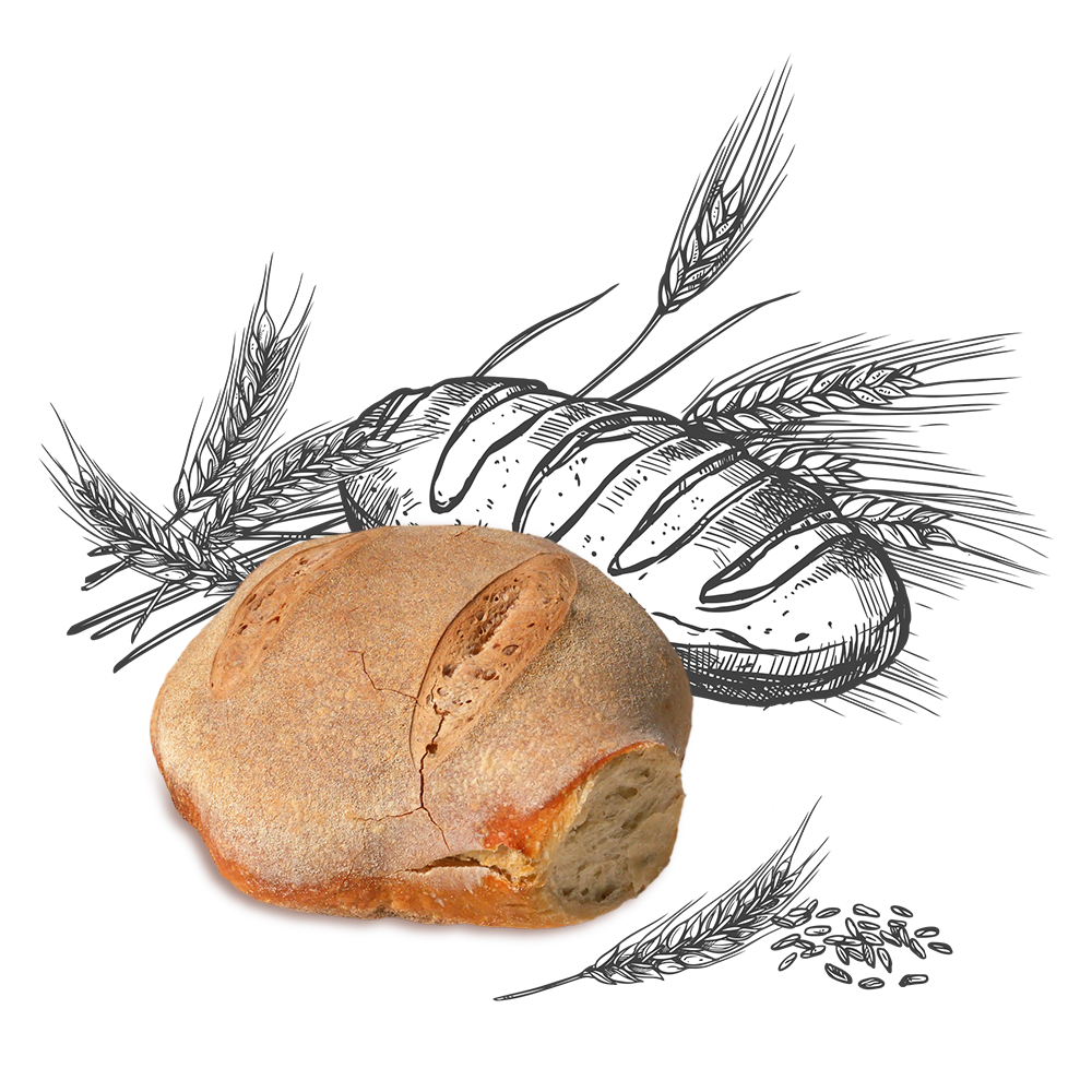 Il Pane di Claudio